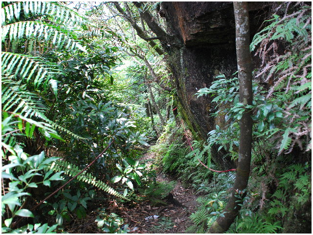 按此在新視窗瀏覽圖片