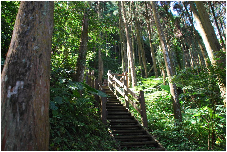 按此在新視窗瀏覽圖片