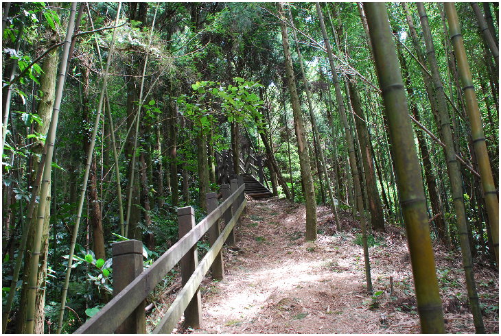 按此在新視窗瀏覽圖片