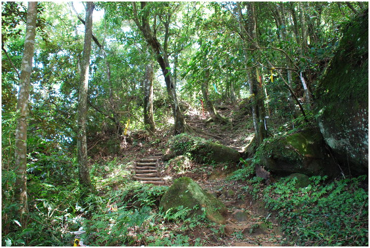 按此在新視窗瀏覽圖片