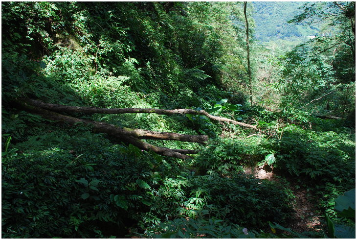 按此在新視窗瀏覽圖片