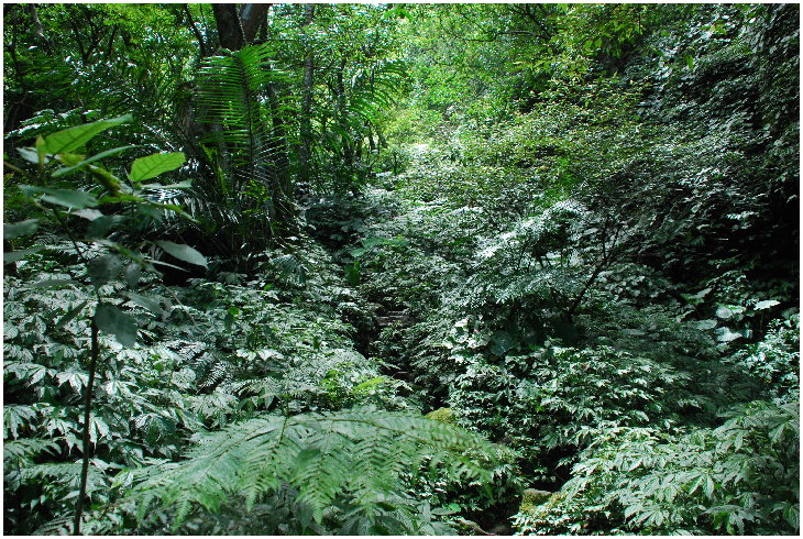 按此在新視窗瀏覽圖片