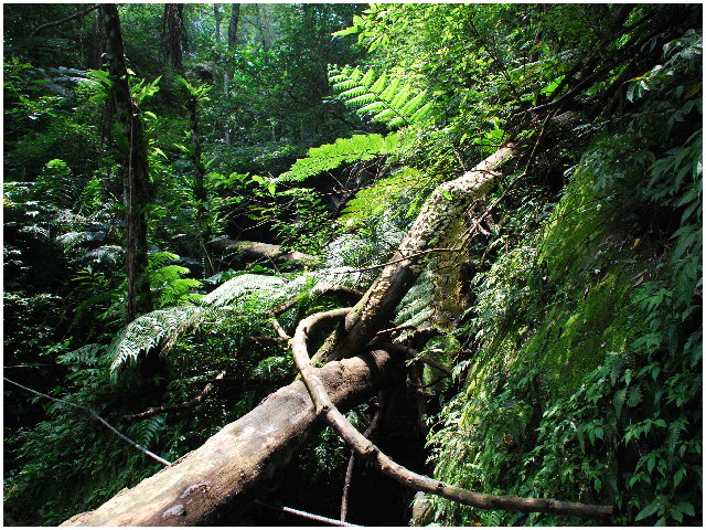 按此在新視窗瀏覽圖片