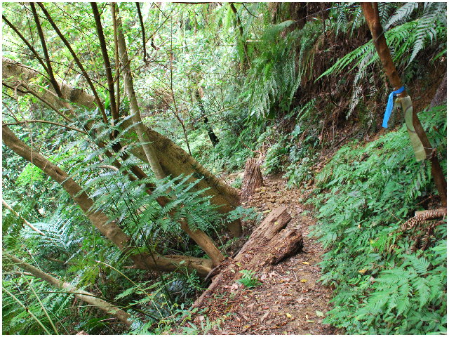 按此在新視窗瀏覽圖片