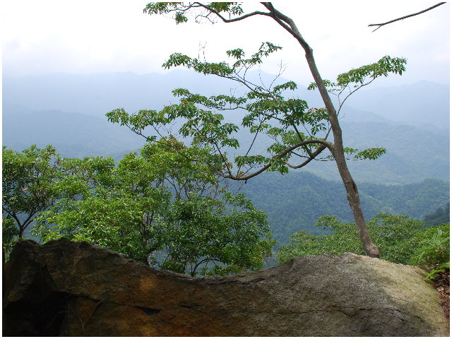 按此在新視窗瀏覽圖片