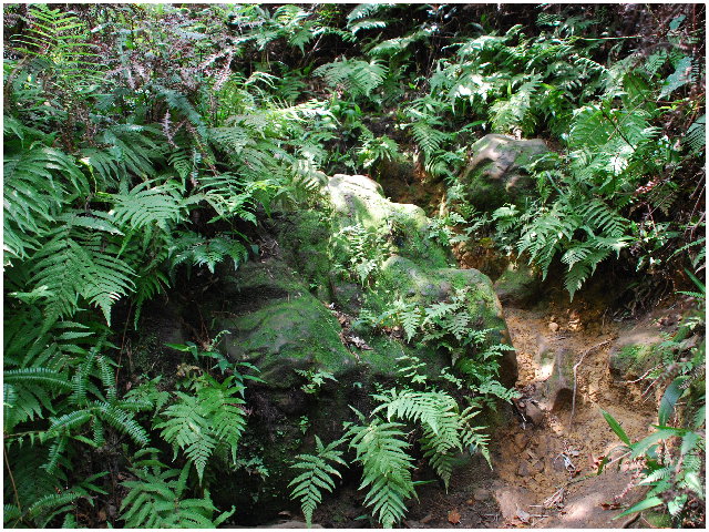 按此在新視窗瀏覽圖片