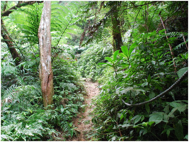 按此在新視窗瀏覽圖片