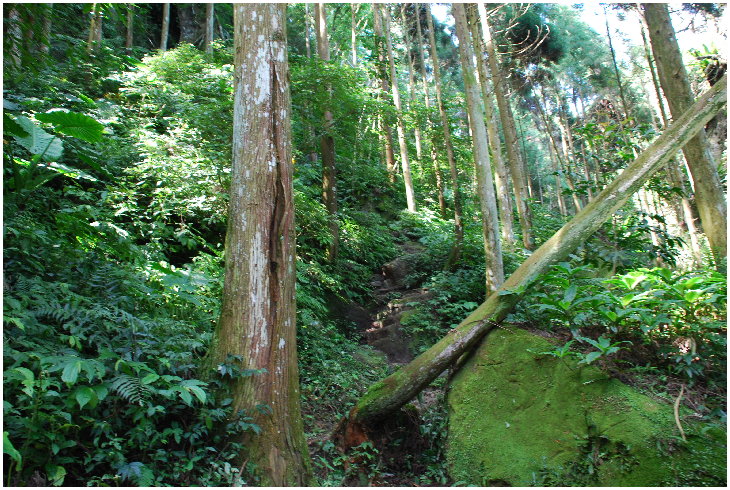 按此在新視窗瀏覽圖片