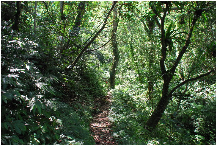 按此在新視窗瀏覽圖片