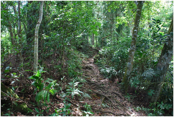 按此在新視窗瀏覽圖片