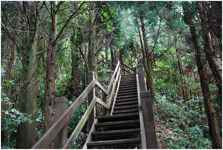 按此在新視窗瀏覽圖片