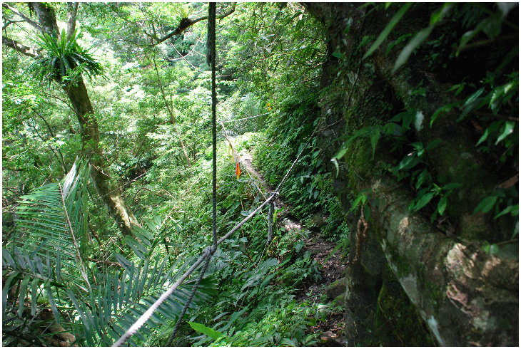 按此在新視窗瀏覽圖片