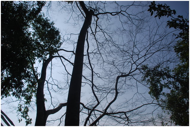 按此在新視窗瀏覽圖片