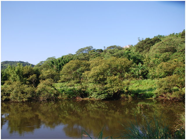 按此在新視窗瀏覽圖片