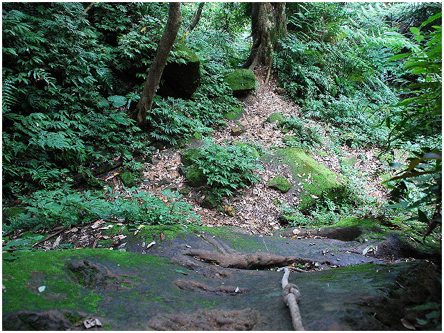 按此在新視窗瀏覽圖片