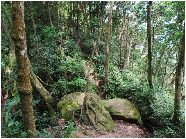 按此在新視窗瀏覽圖片