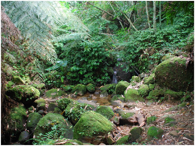 按此在新視窗瀏覽圖片