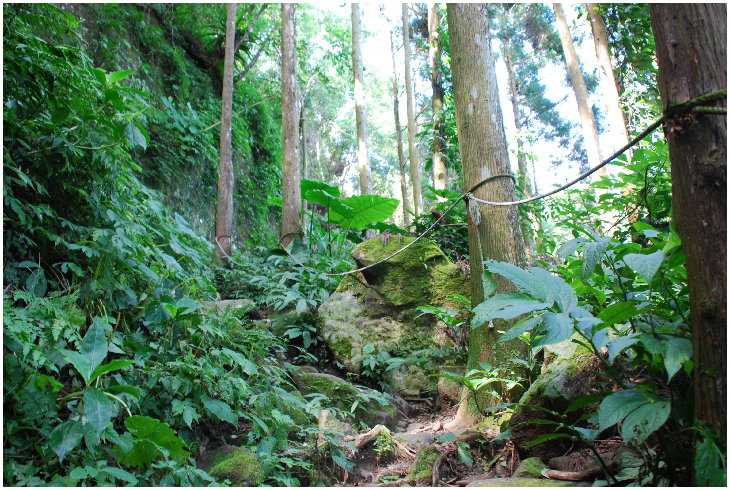 按此在新視窗瀏覽圖片