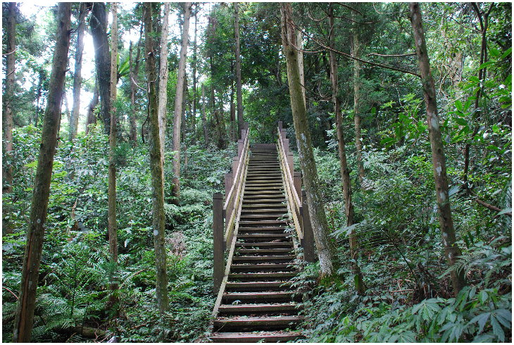 按此在新視窗瀏覽圖片