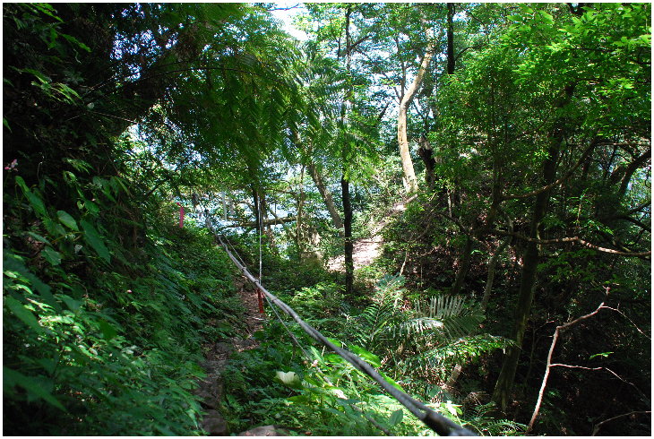 按此在新視窗瀏覽圖片