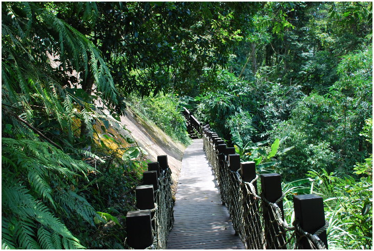 按此在新視窗瀏覽圖片