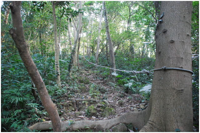 按此在新視窗瀏覽圖片