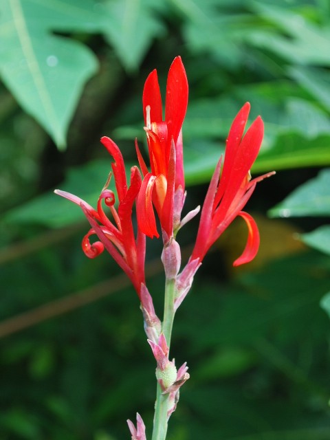 按此在新視窗瀏覽圖片