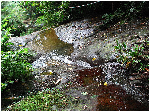 按此在新視窗瀏覽圖片