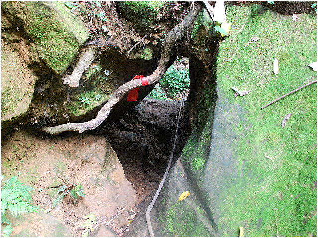 按此在新視窗瀏覽圖片