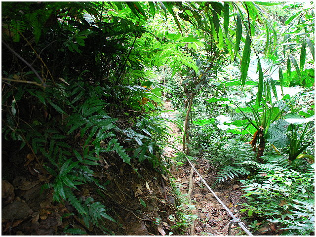 按此在新視窗瀏覽圖片