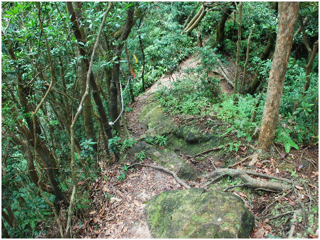 按此在新視窗瀏覽圖片