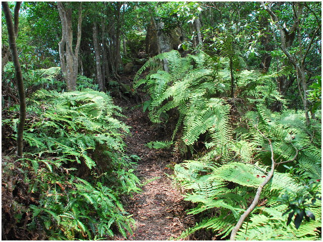 按此在新視窗瀏覽圖片