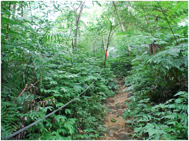 按此在新視窗瀏覽圖片