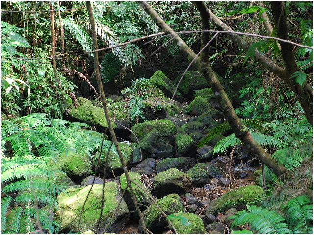 按此在新視窗瀏覽圖片