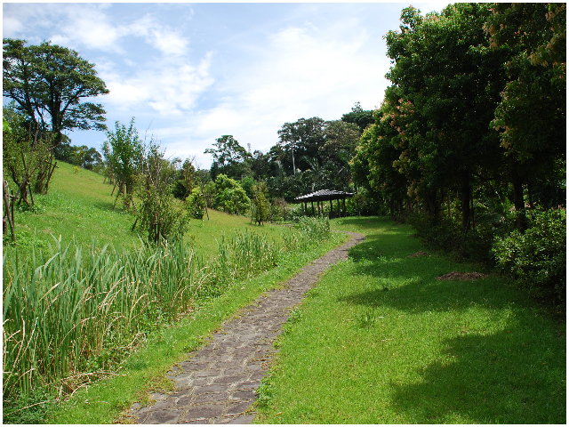 按此在新視窗瀏覽圖片