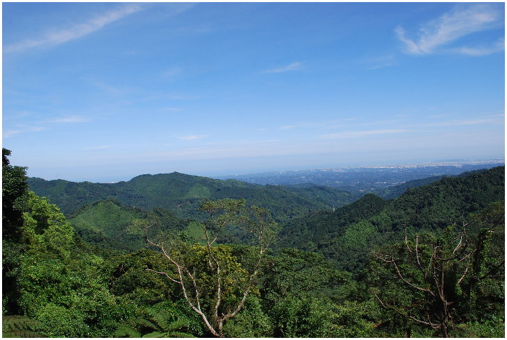 按此在新視窗瀏覽圖片