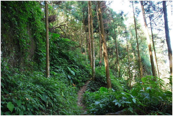 按此在新視窗瀏覽圖片