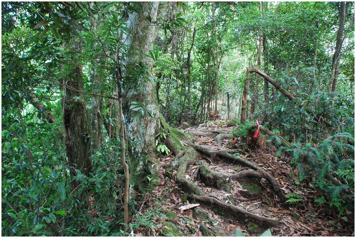 按此在新視窗瀏覽圖片