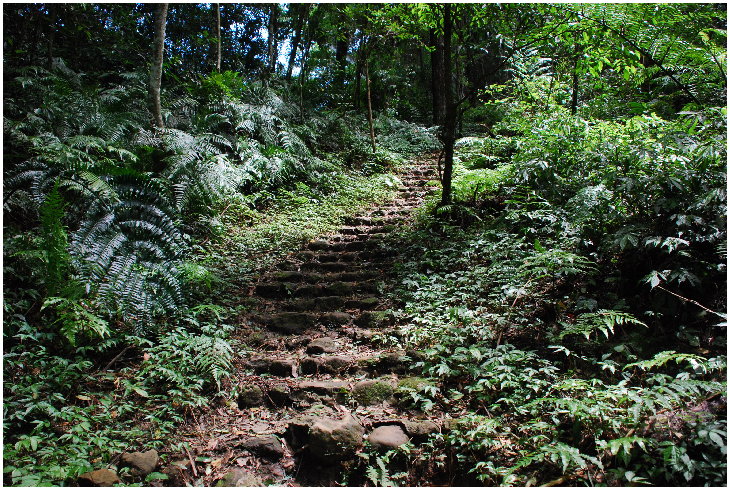 按此在新視窗瀏覽圖片
