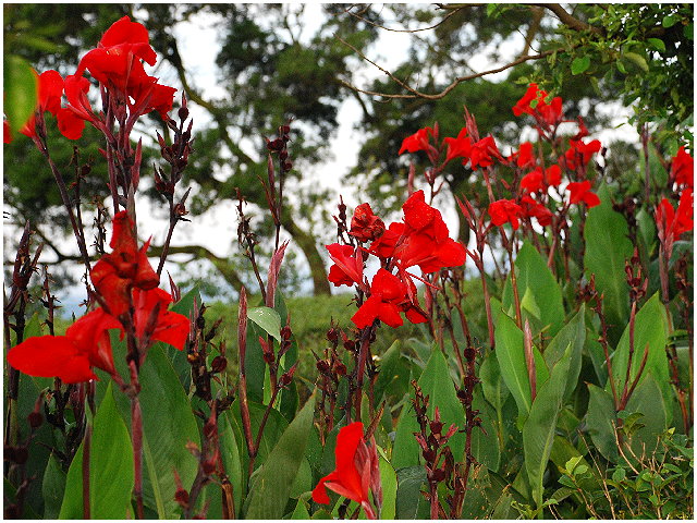 按此在新視窗瀏覽圖片