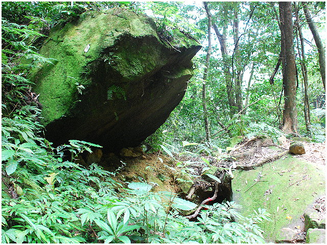 按此在新視窗瀏覽圖片