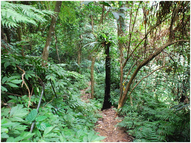 按此在新視窗瀏覽圖片