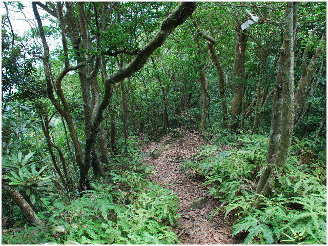 按此在新視窗瀏覽圖片