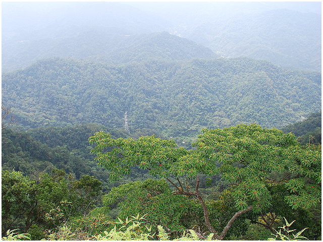 按此在新視窗瀏覽圖片