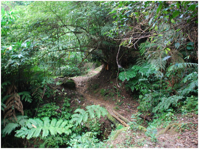 按此在新視窗瀏覽圖片