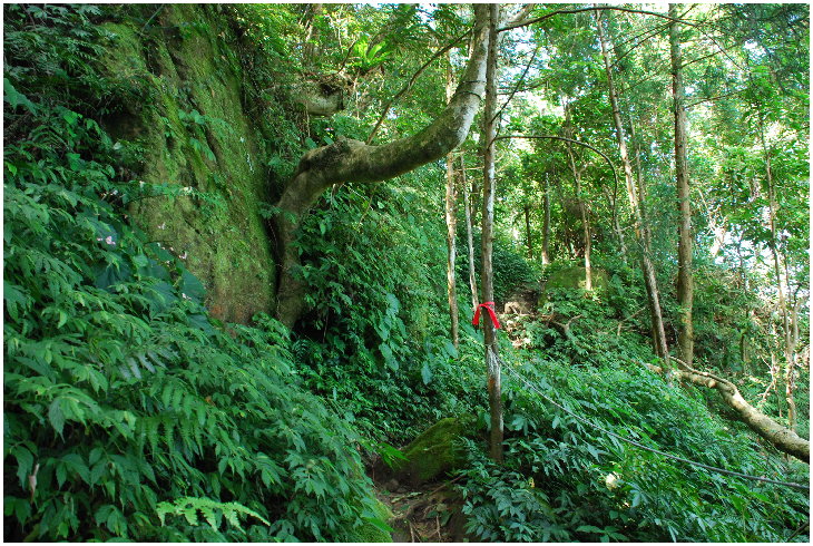 按此在新視窗瀏覽圖片