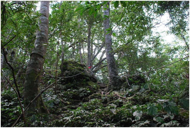 按此在新視窗瀏覽圖片