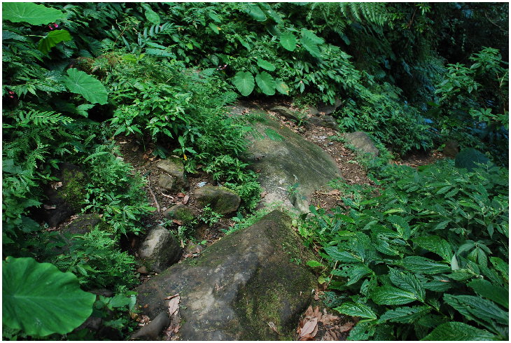 按此在新視窗瀏覽圖片