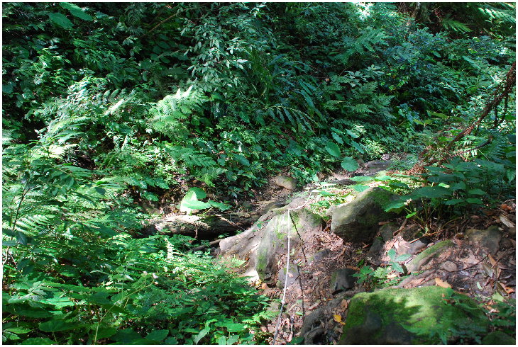 按此在新視窗瀏覽圖片