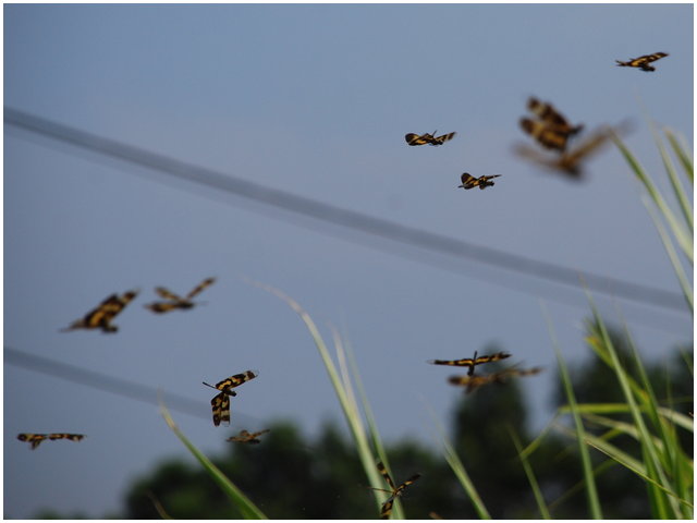 按此在新視窗瀏覽圖片